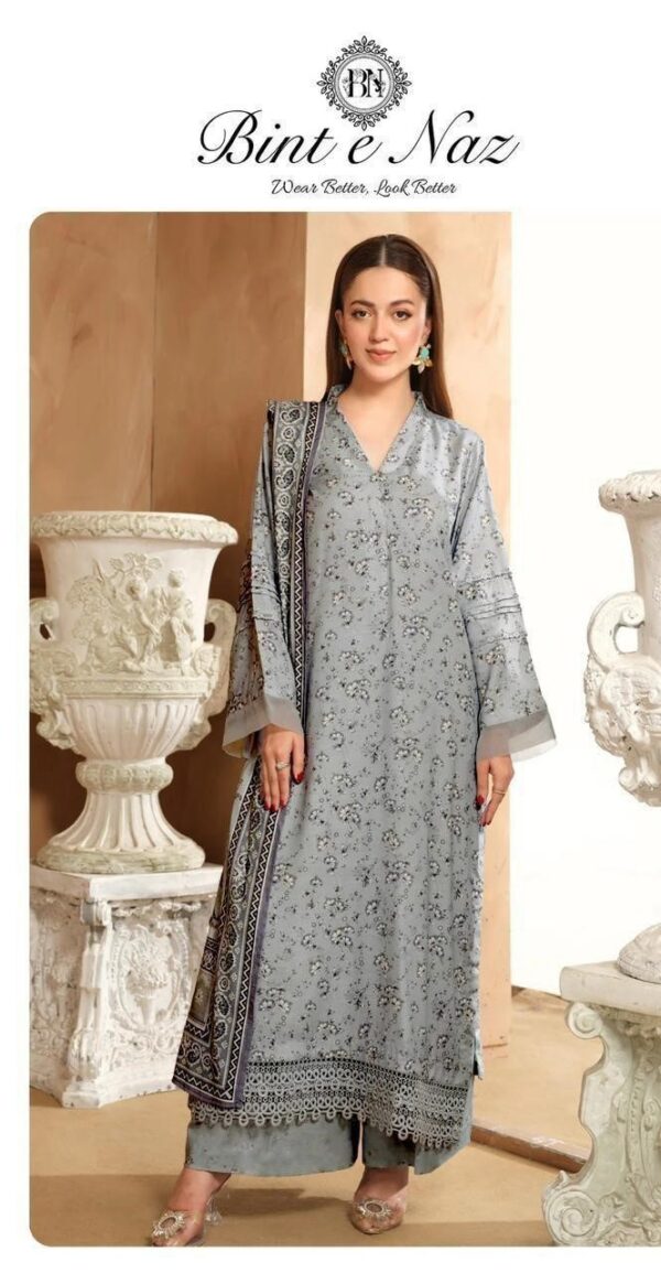 Bint e Naz Printed suit